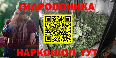 индика Кунгур