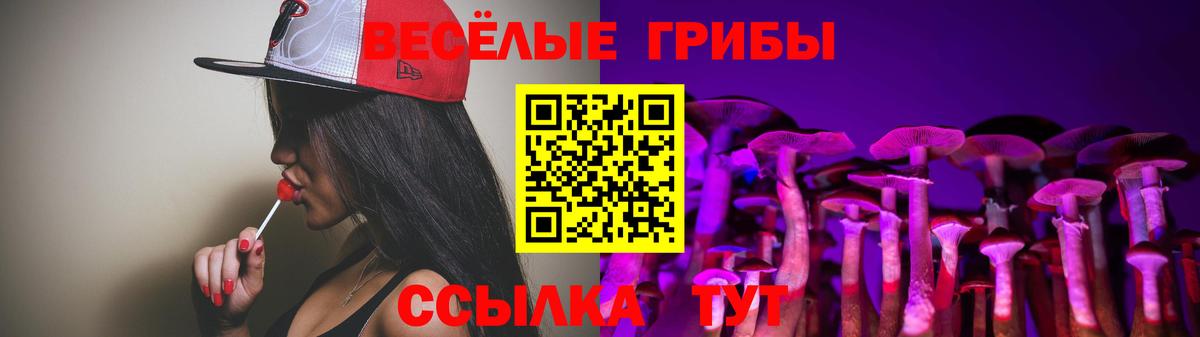 Псилоцибиновые грибы GOLDEN TEACHER  магазин    Благовещенск  Вход с VPN  Псилоцибиновые грибы мухоморы 